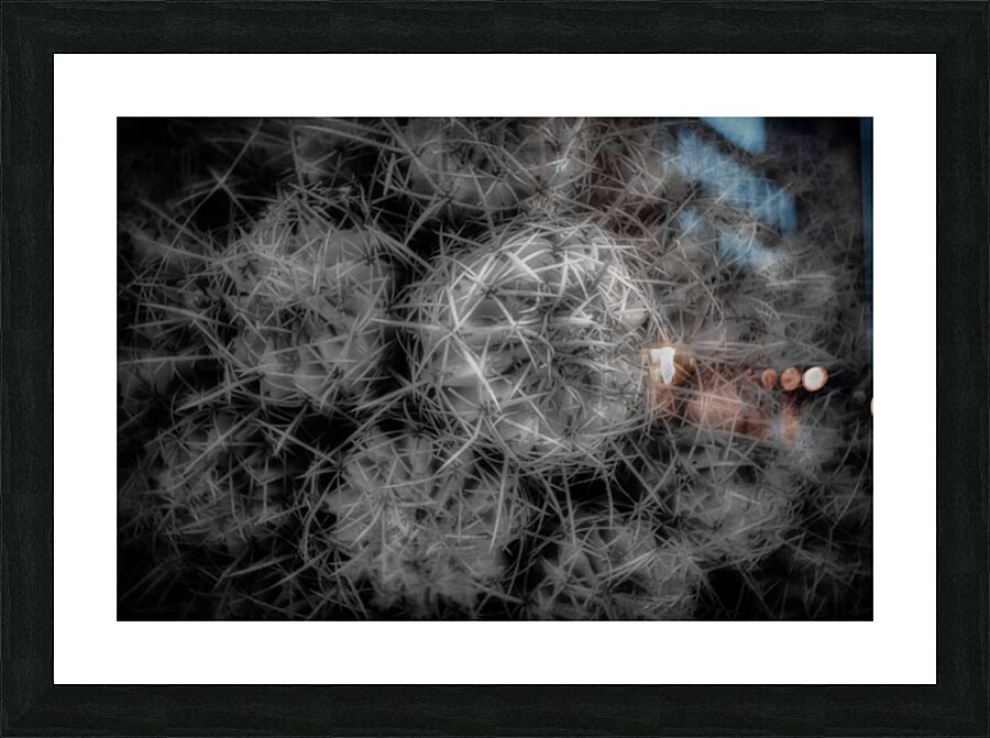 Thorned Harmonics Impression et Cadre photo