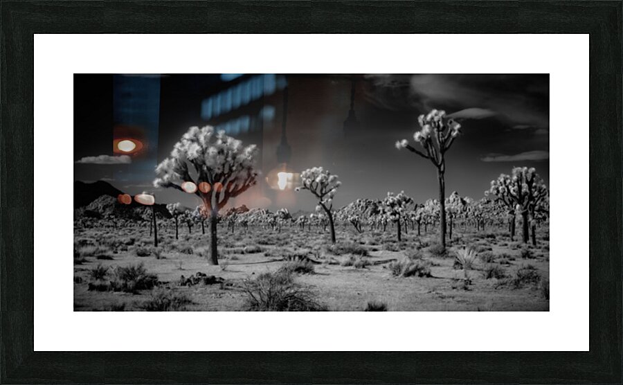 Ghostly Terrain Under Infinite Sky Picture Frame print