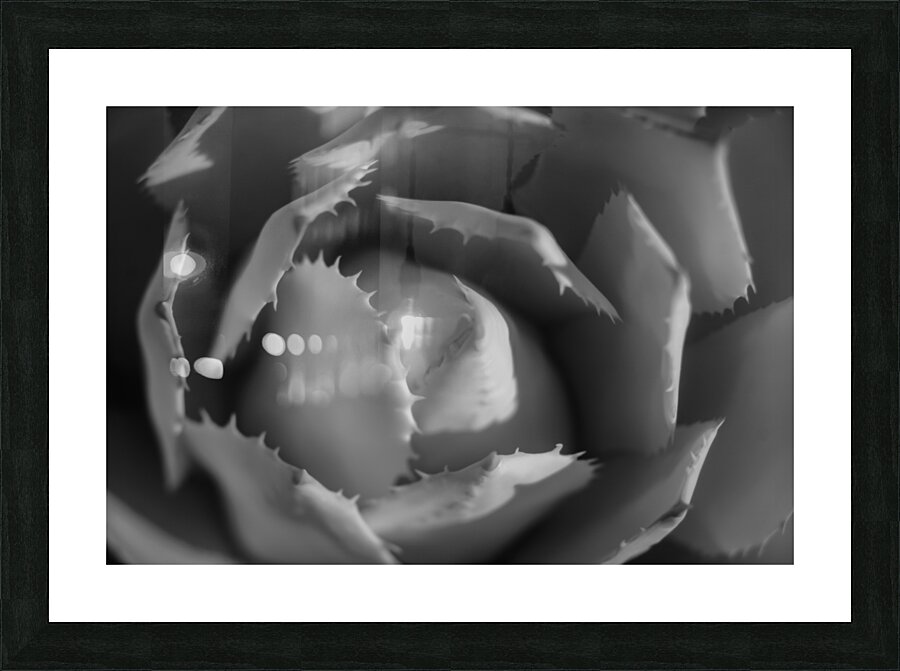 Lights Whisper Over Floral Peaks Picture Frame print