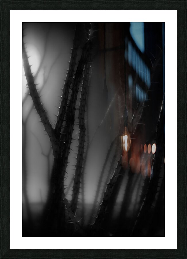 Shadows Weave Through Thorned Spire Picture Frame print