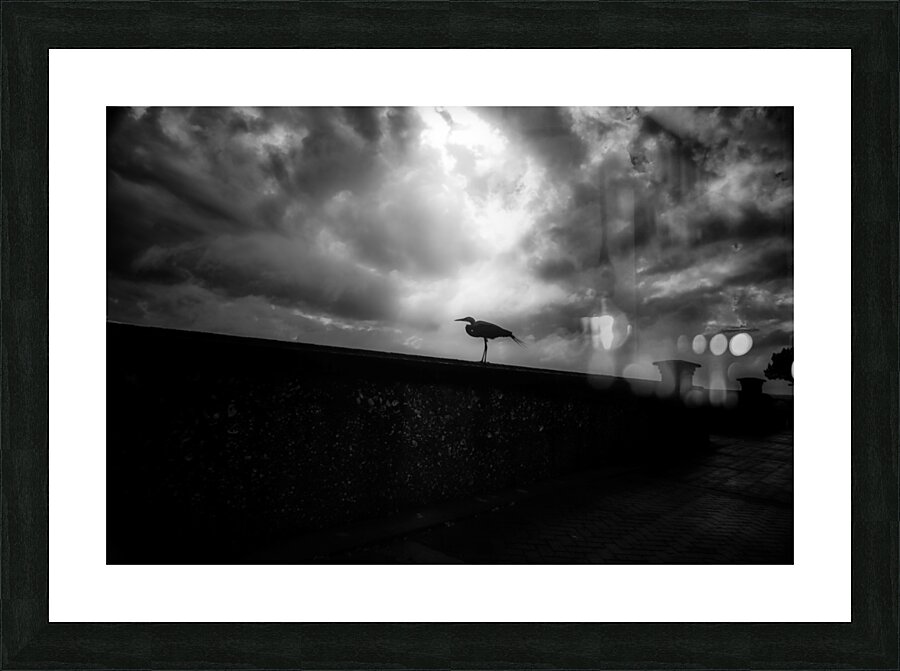 Rainy Day Stroll: Capturing Serenity with a Silhouetted Bird in  Picture Frame print