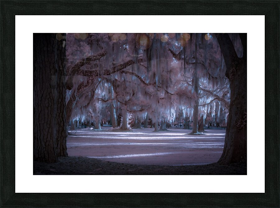 Shadows Cast by Enchanted Light Impression et Cadre photo