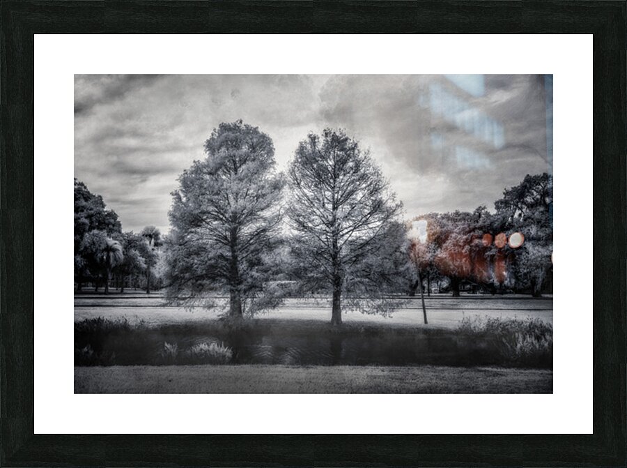 Mystical Twins: Unveiling the Beauty of Venetian Gardens in Lees Impression et Cadre photo