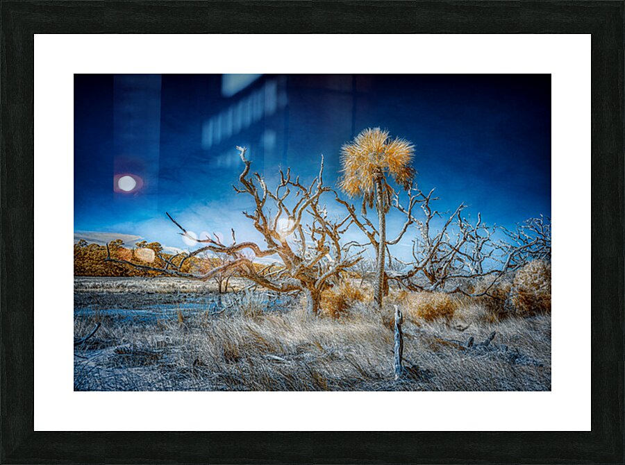 Isolated Serenity: Rows End Impression et Cadre photo