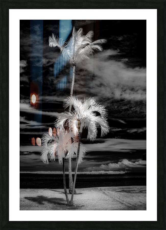 Texture of the Tropics Impression et Cadre photo