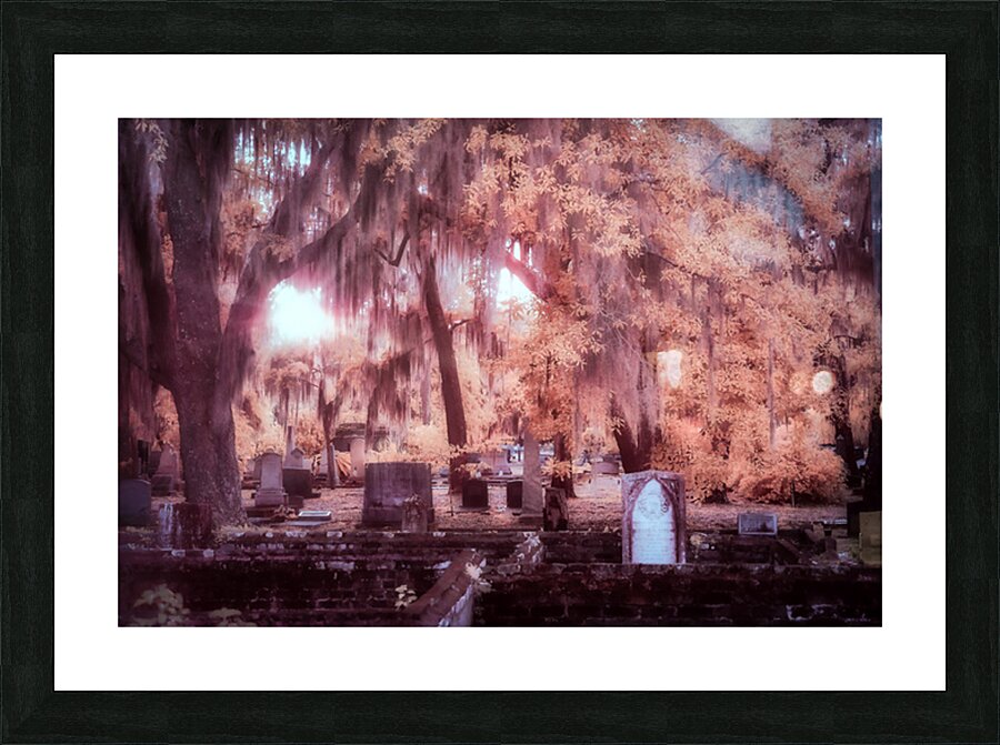Springtime Serenity: A Moody Sunset at Oak Grove Cemetery in Sai Picture Frame print