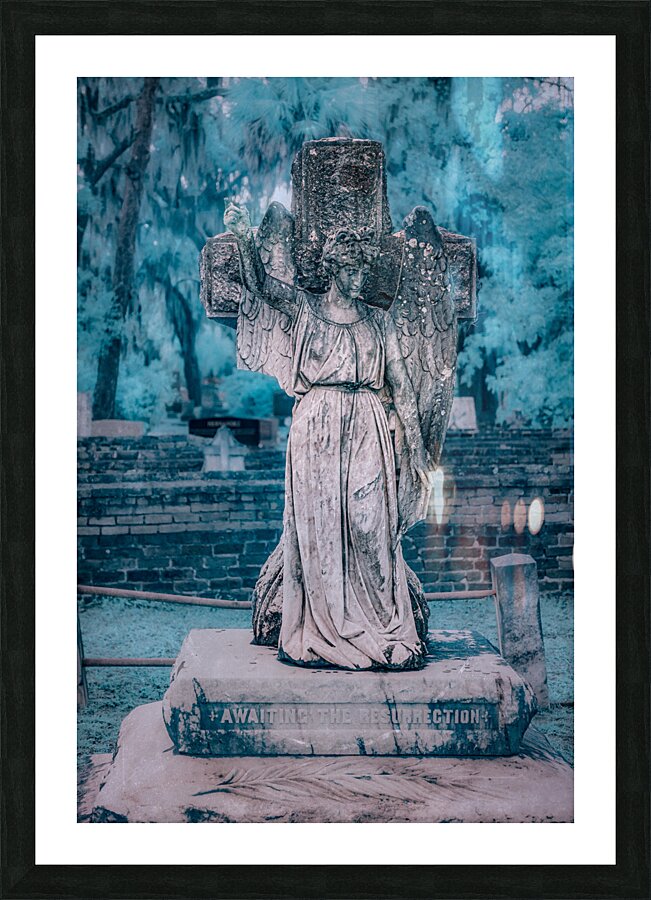 Rainy Day Reflections: Exploring Oak Grove Cemetery Picture Frame print