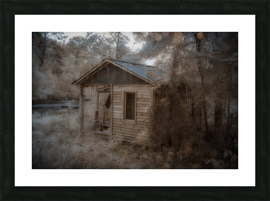 Louisiana Memories Picture Frame print