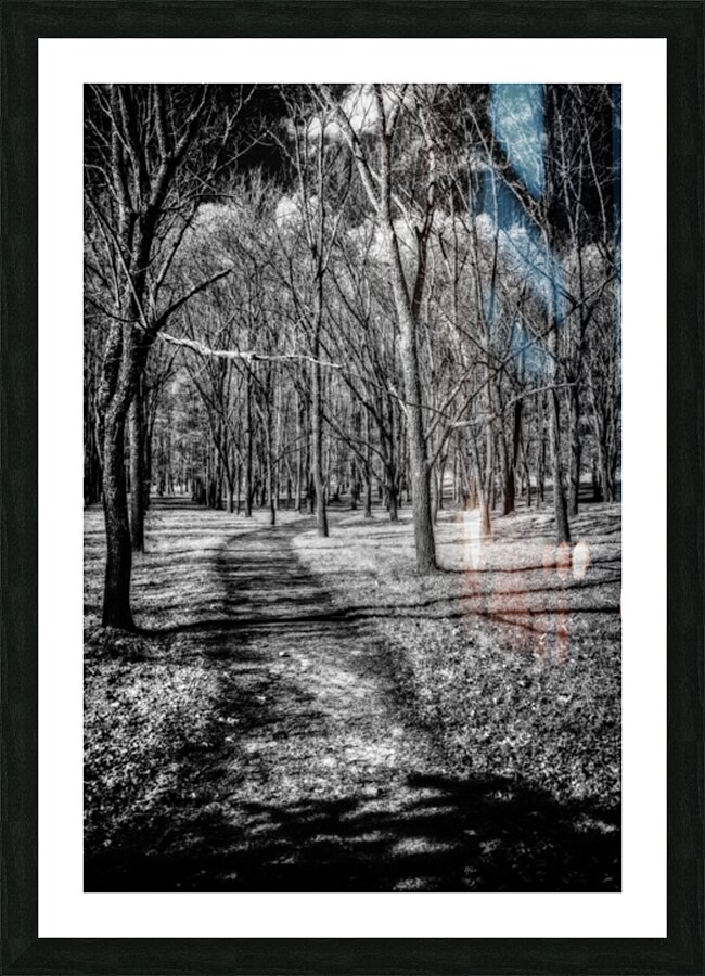 Solitary Trails: Eerie Path Near Knoxville Picture Frame print