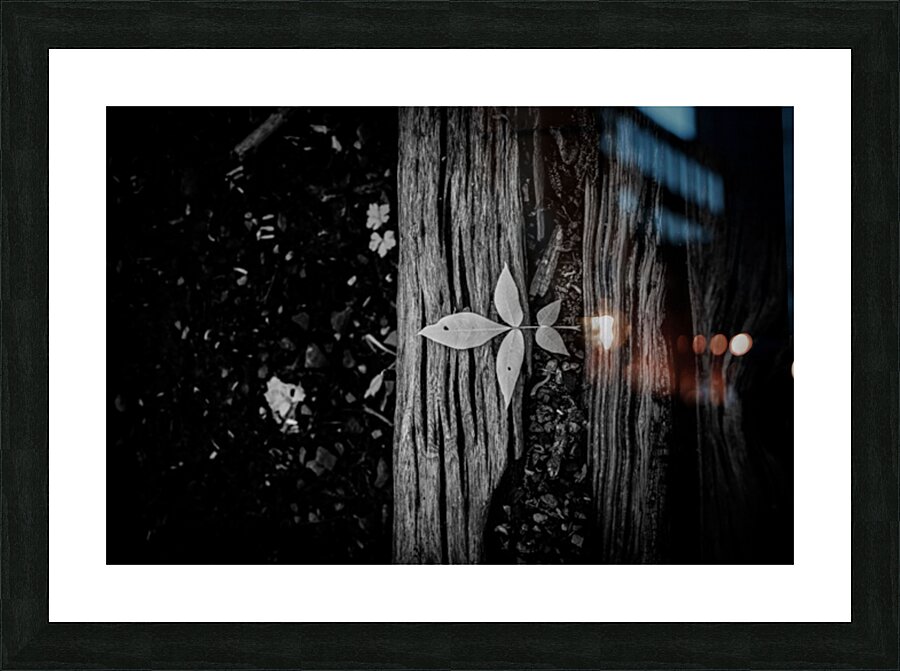 Step Above  Impression et Cadre photo