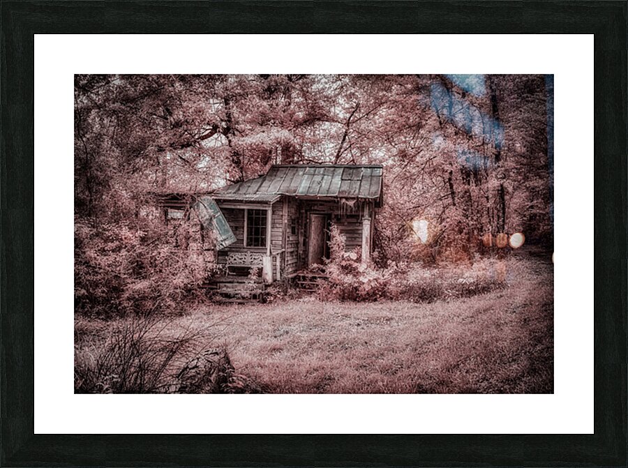 Louisiana Fishing Shack 3 Picture Frame print