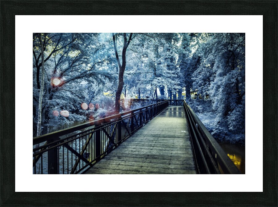 JOURNEYS THROUGH LYNCHBURG: EXPLORING JACK DANIELS AND BEYOND Picture Frame print