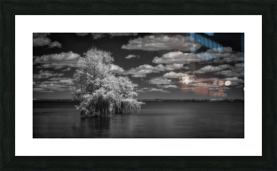 Cypress Dreams Impression et Cadre photo