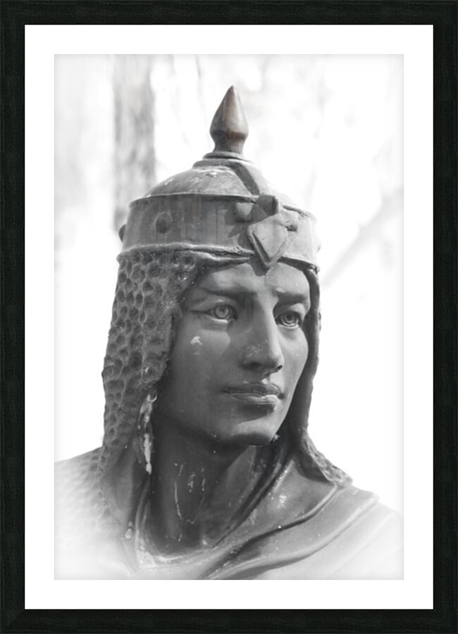 Southern Sentinel Picture Frame print