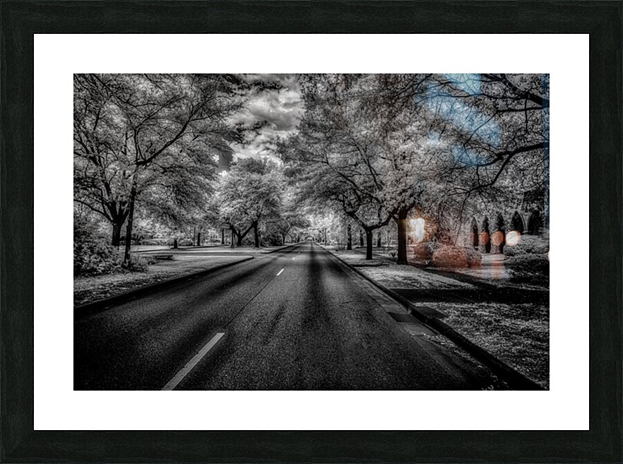 Eufaula Elegance: A Monochromatic Journey Through Time Picture Frame print