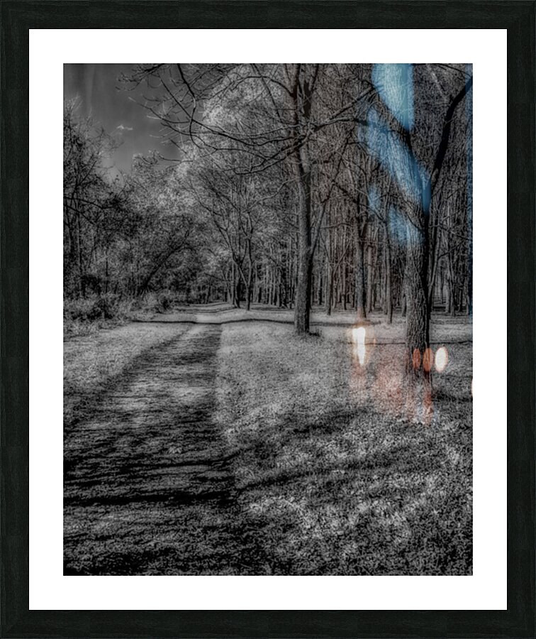 Enchanted Pathways: A Monochrome Overture Picture Frame print
