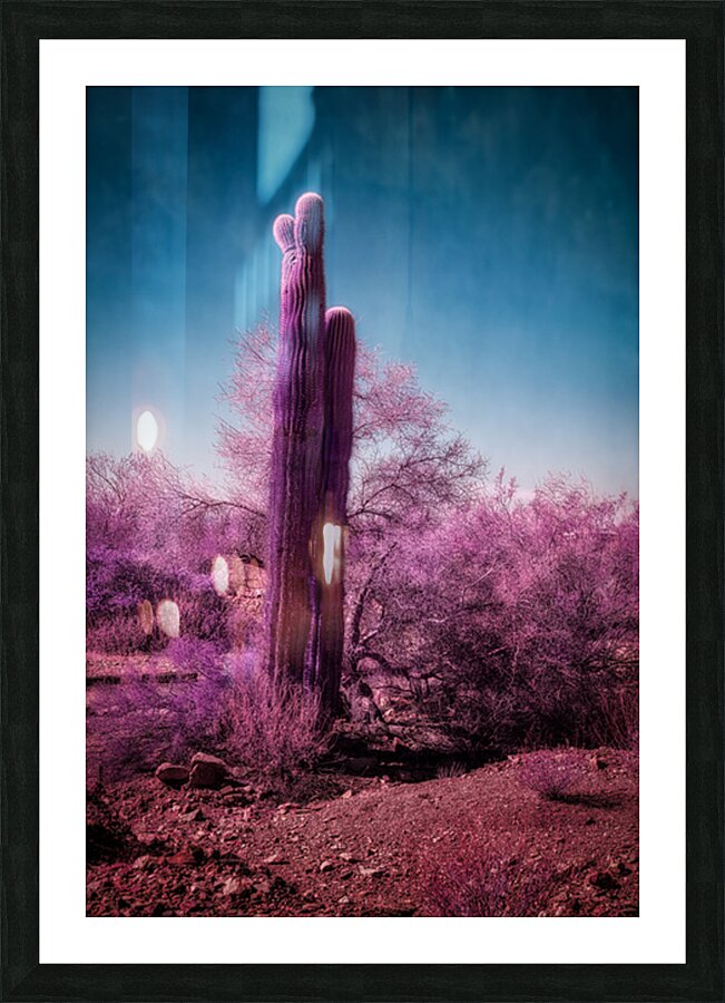 Deserts Purple Dream Picture Frame print
