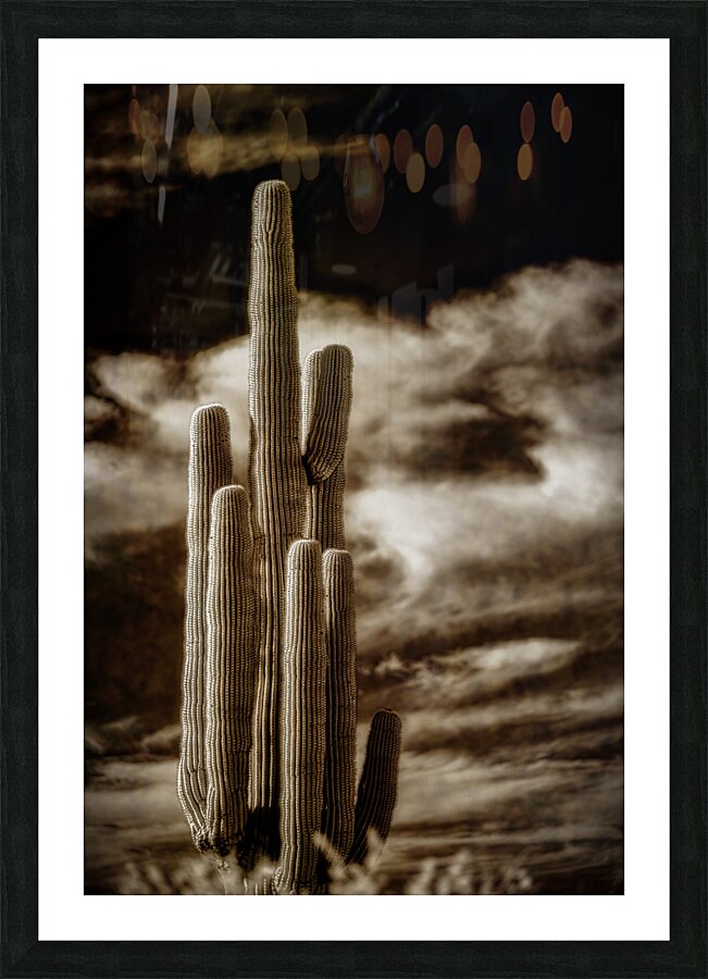 Majesty in Sepia Skies Picture Frame print