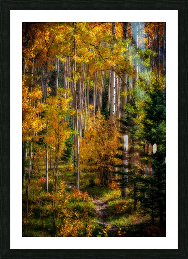 Elegy of Amber Leaves Impression et Cadre photo