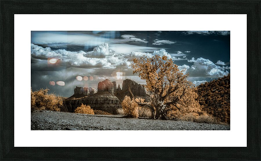 Solitary Desert Dreams Picture Frame print