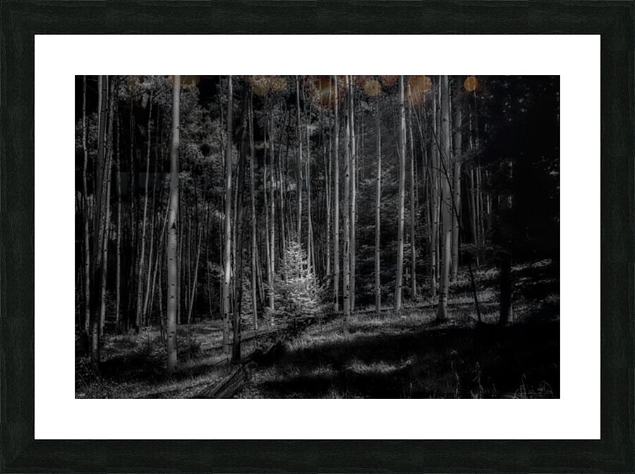 Infrared Luminescence on Artist Road Picture Frame print