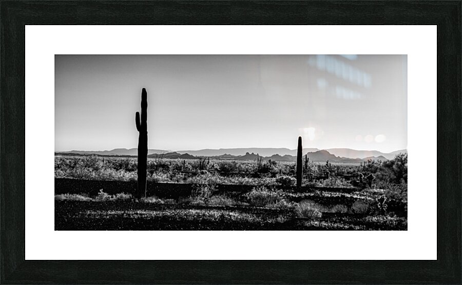 Vast Tranquility Amidst the Sand Picture Frame print