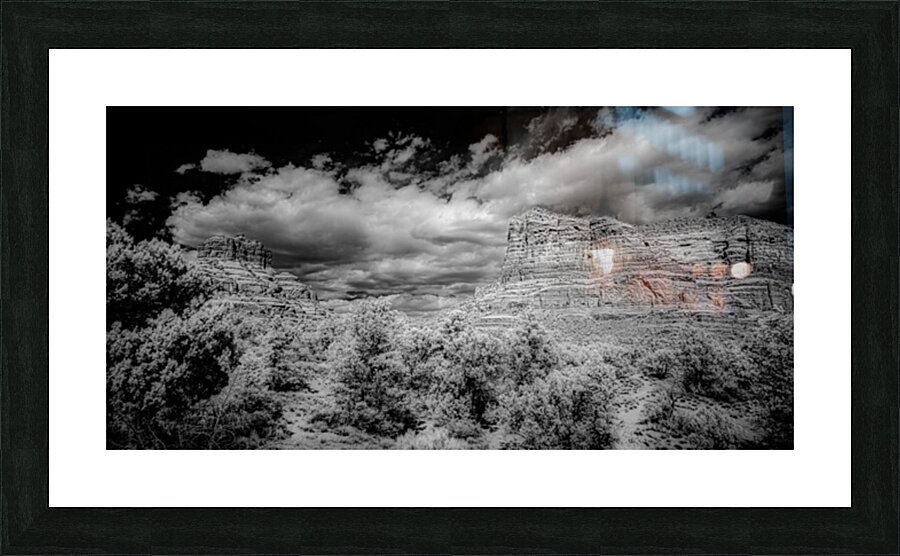 Desert Majesties in Monochrome Picture Frame print