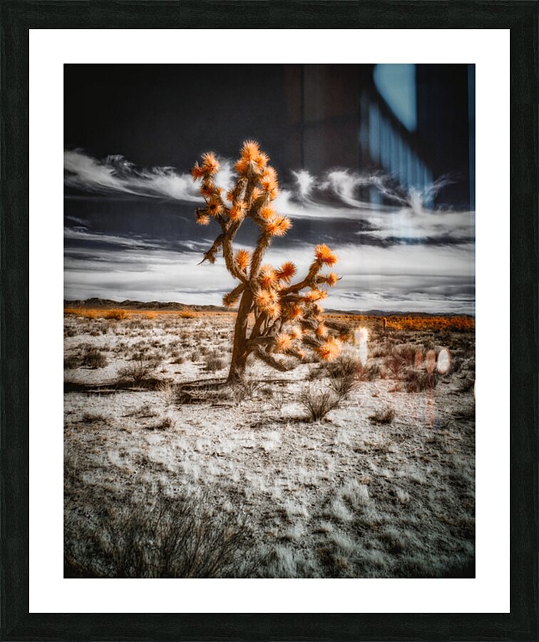 Arboreal Blaze in Barren Harmony Picture Frame print