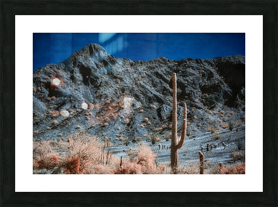 Rocky Backdrop to a Prickly Presence Picture Frame print