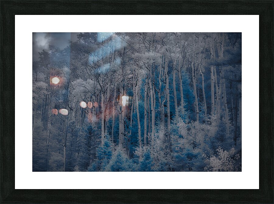 Ethereal Blue Amidst Monochrome Forest Impression et Cadre photo