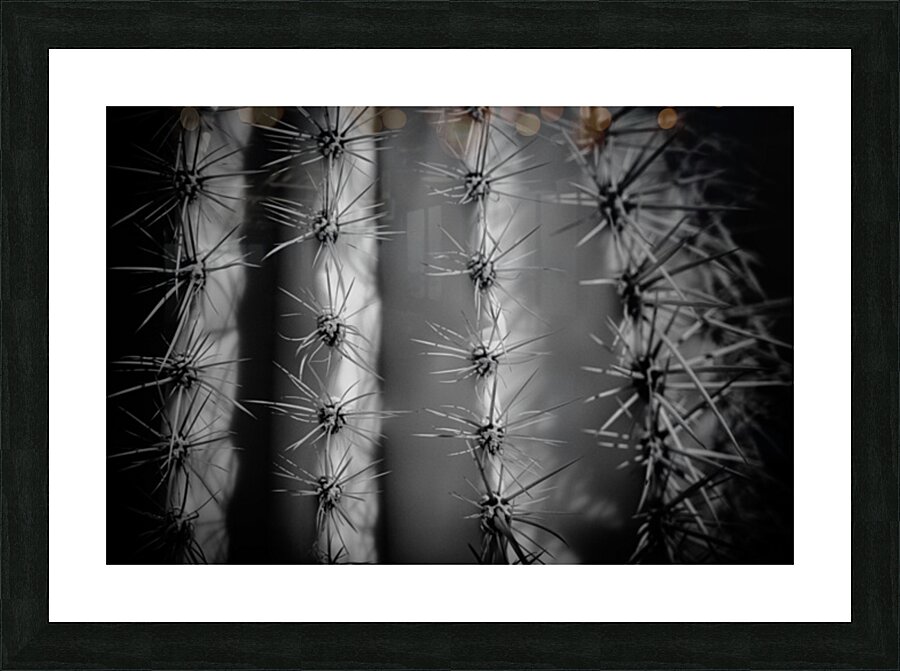 A Tapestry of Thorns Picture Frame print