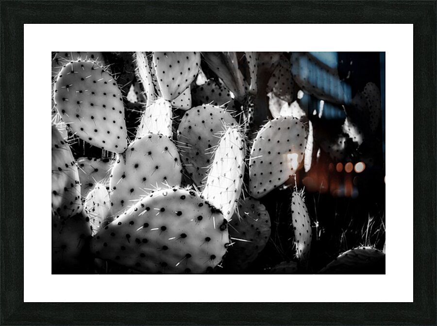 Textures of the Desert Picture Frame print