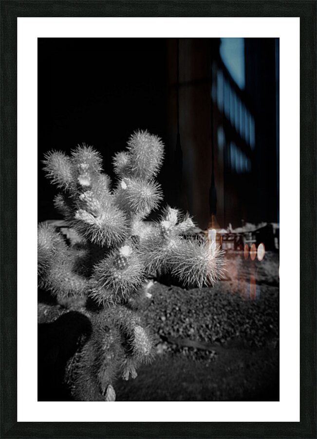 Intricate Dance of Cactus Spines Picture Frame print