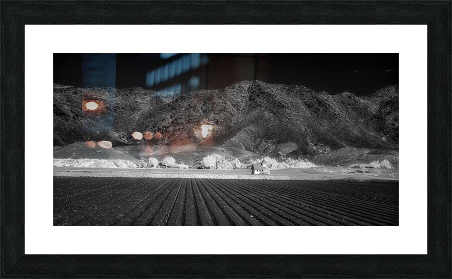 Fields of Infinite Solitude Picture Frame print