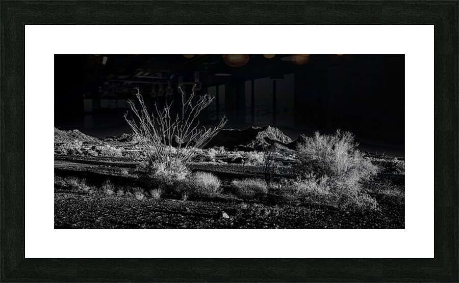 Deserts Silent Play of Light and Shadow Impression et Cadre photo