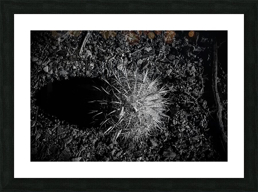 Prickly Silhouette Picture Frame print