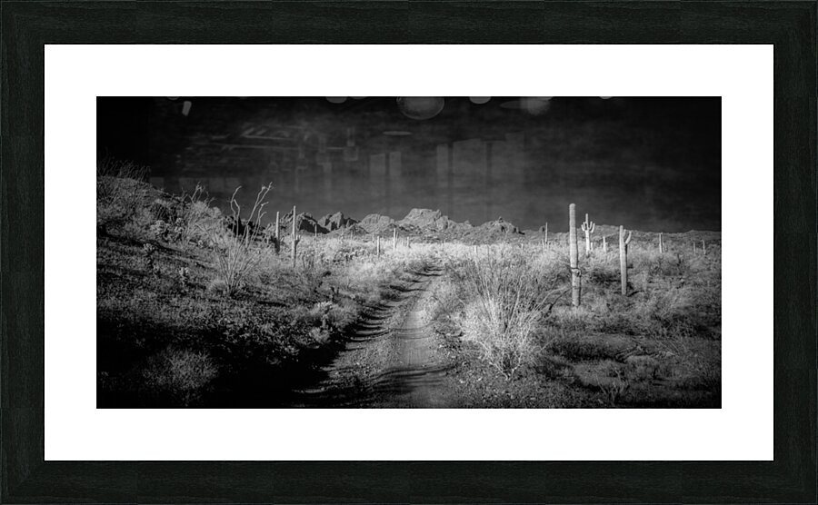 Echoes of Silence Across the Horizon Impression et Cadre photo