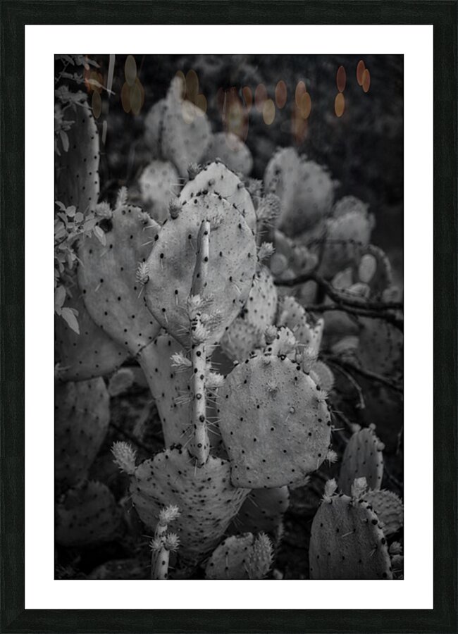 Textured Prickles Picture Frame print