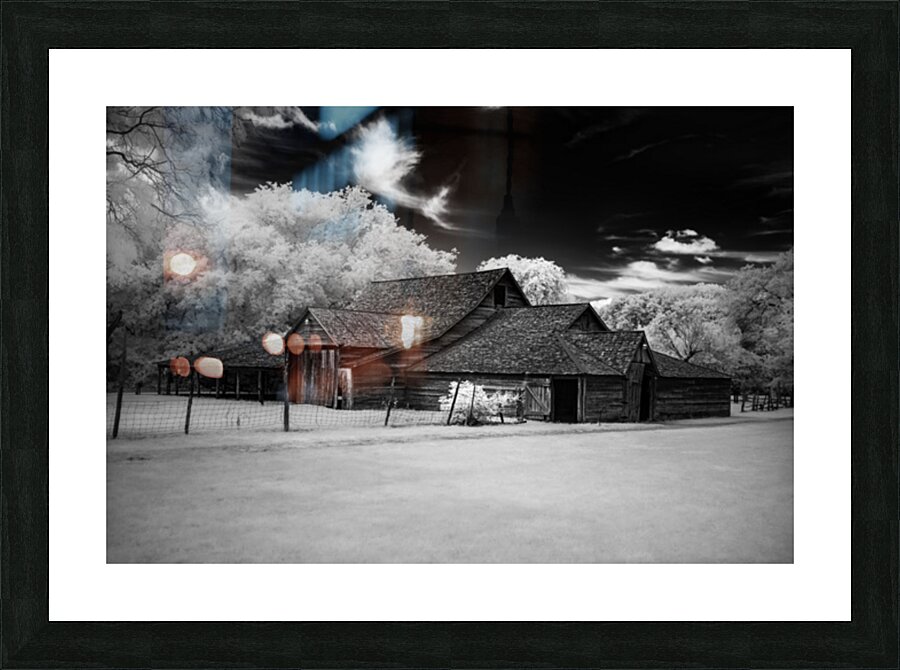 Tranquility in a Barn Tale Impression et Cadre photo