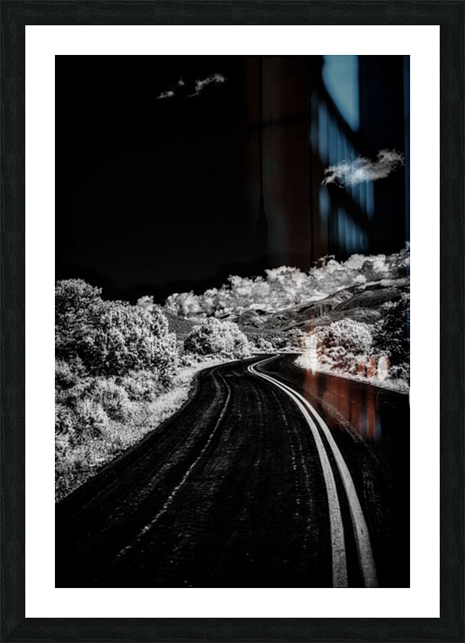 Symphony of Road and Foliage Picture Frame print