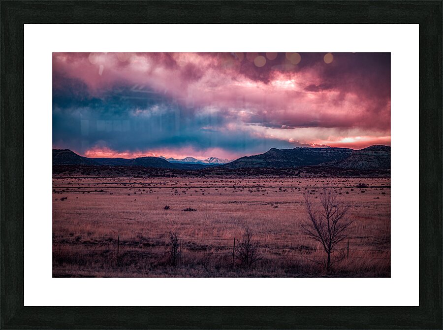 Solitary Harmony Under a Painted Sky Picture Frame print