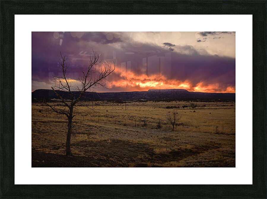 Heavens Blaze: Sunset Symphony in Cold Beer New Mexico Picture Frame print