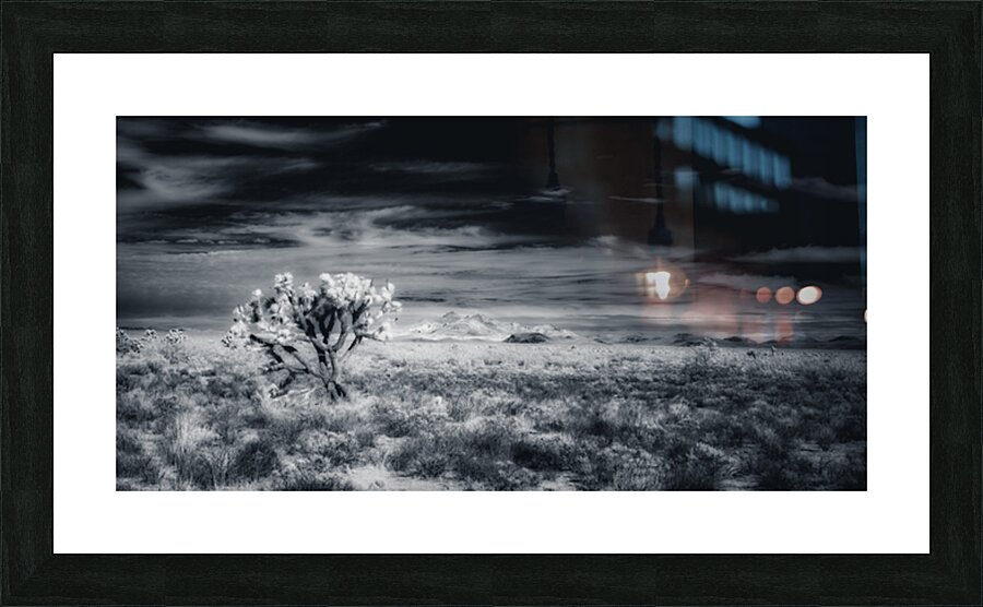 Rugged Silence Under Restless Skies Picture Frame print