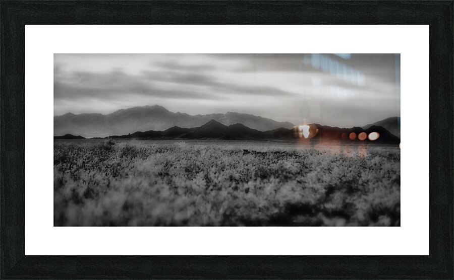 Waves of Solitude Across the Arid Horizon Picture Frame print