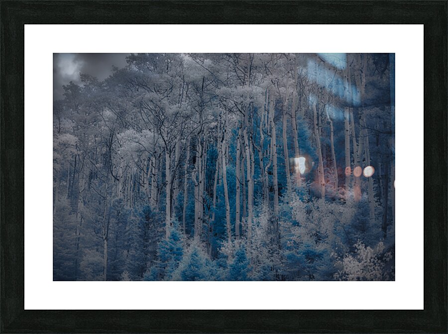 Ethereal Blue Amidst Monochrome Forest Impression et Cadre photo