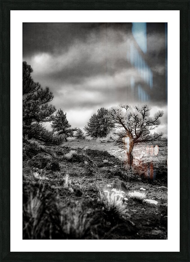 Solitude Unveiled: A Mystical Wyoming Lone Tree at Guernsey Stat Picture Frame print