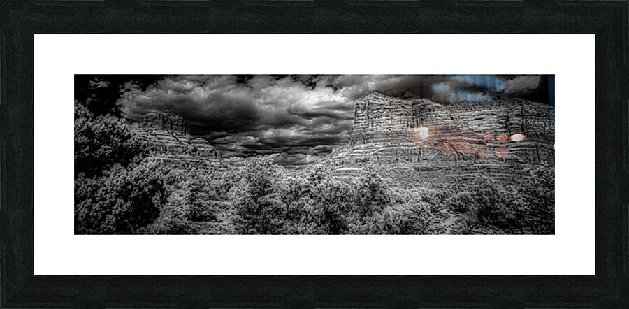 Desert Majesties in Monochrome Picture Frame print