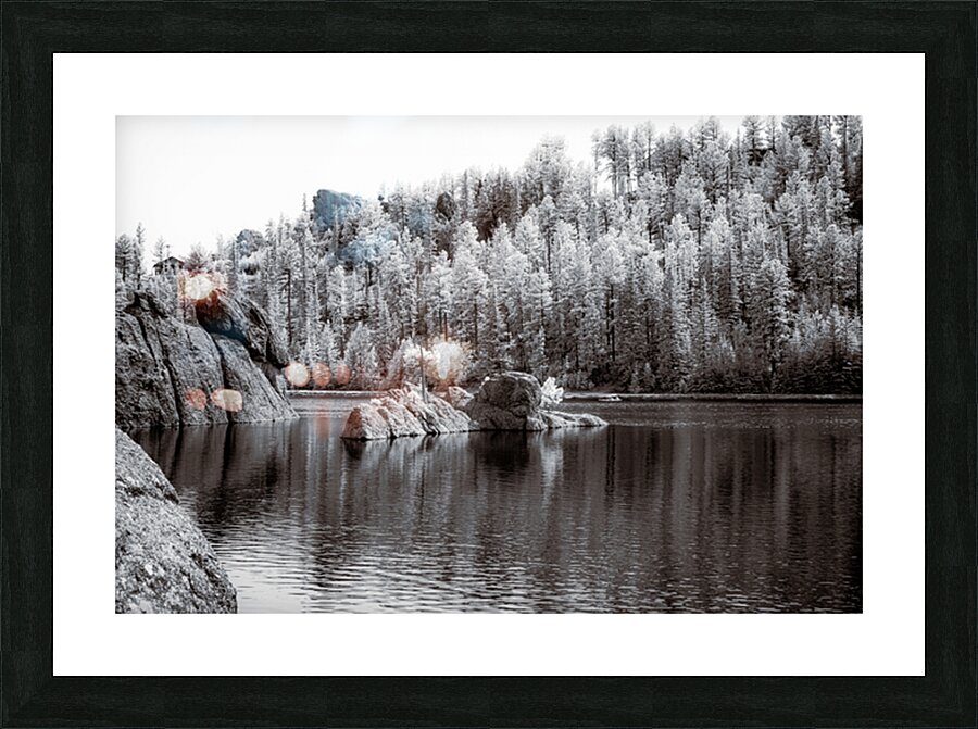 Majestic Pine Island: Capturing Sylvan Lakes Beauty Impression et Cadre photo