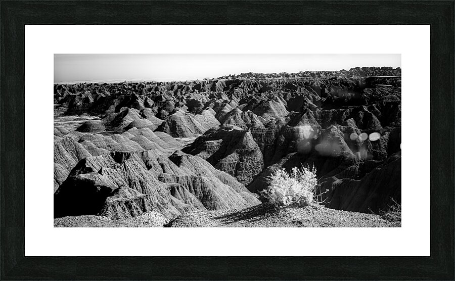 Shadows of the Earth: Tuft on the Edge Picture Frame print