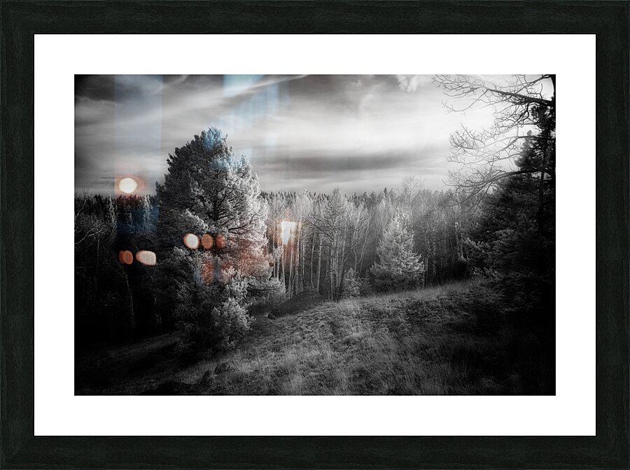 Mueller Aspen Series: Natures Finale Picture Frame print